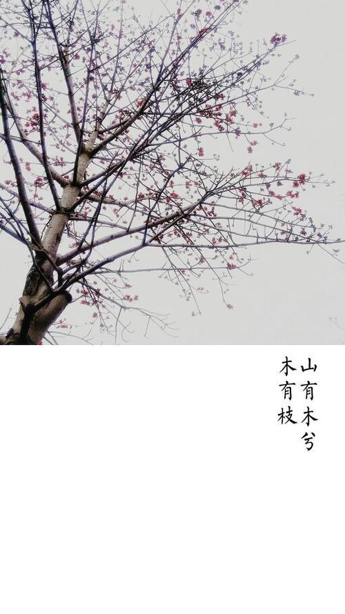 有山有木有肉的字