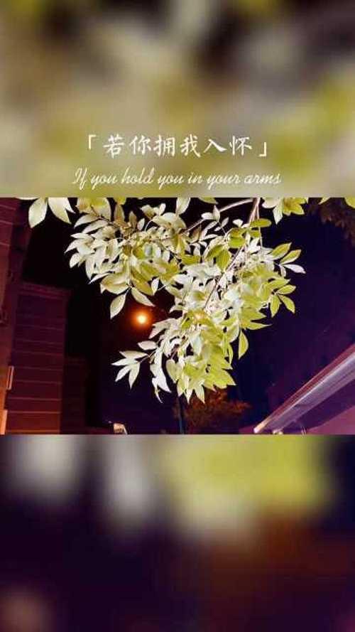 好想把你拥在怀里是什么歌曲