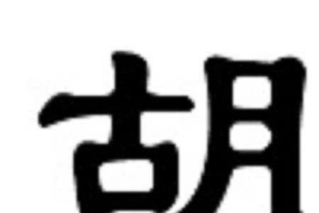 姓胡的哪个地区最多