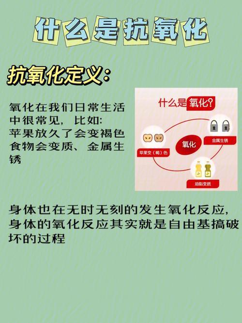 抗氧化是什么意思