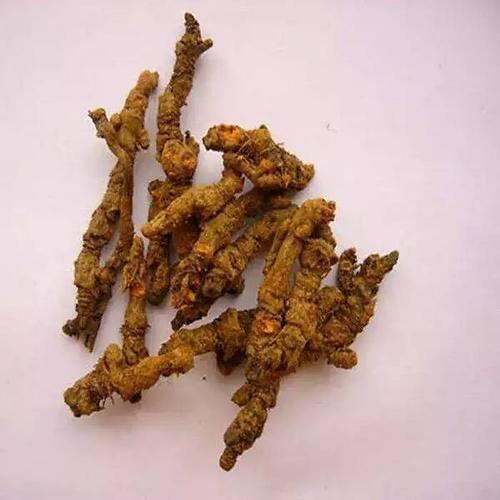 苦得像黄连的成语