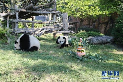 汕尾哪个动物园有熊猫