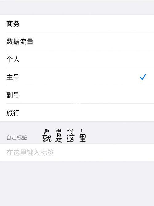 怎么把苹果蜂窝数据标签取消