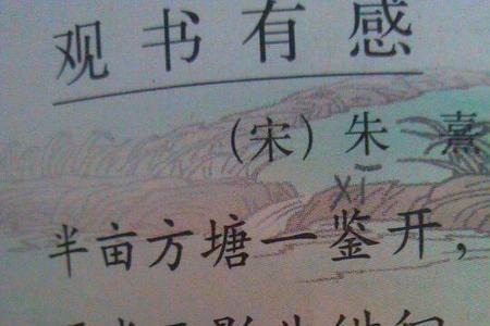 观屏是什么意思