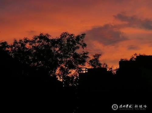 夕阳留恋最高枝是什么意思