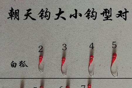 伊豆鱼钩12号有多大