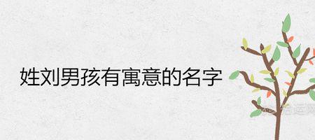 刘翌琛名字寓意