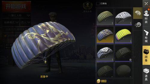 双排海盗王牌局一把能加多少分