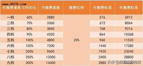 缴费月数怎么换算年数