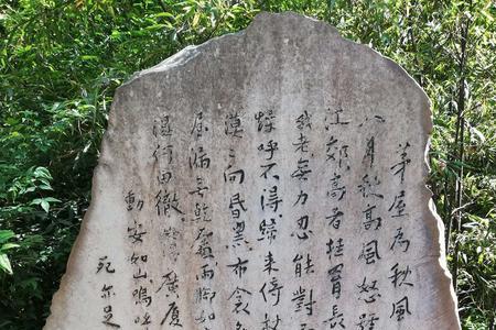 沉塘是什么意思
