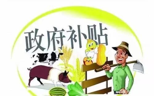浙江2022粮食补贴发放标准