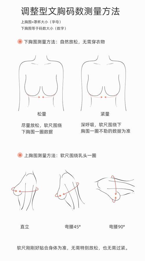32B有多大