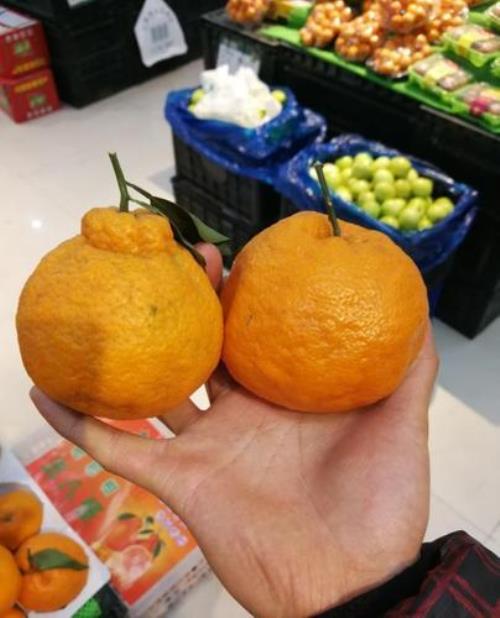 耙耙柑泡酒的步骤