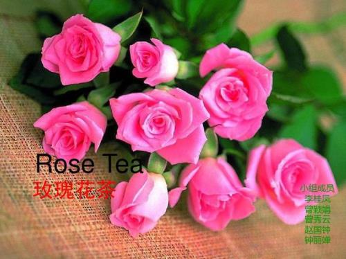 玫瑰花的对话怎么写