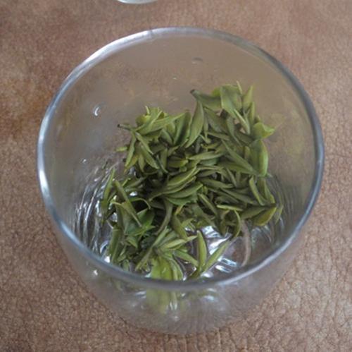 碧螺春泡出来叶子很大