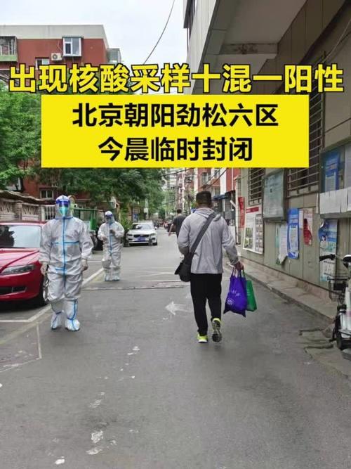 北京十混一处理流程