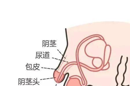 男人有孩子了是什么感觉