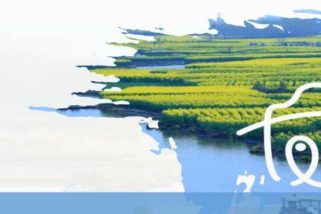什么米之香