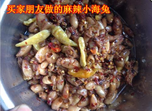 海兔要煮几分钟才完全熟透