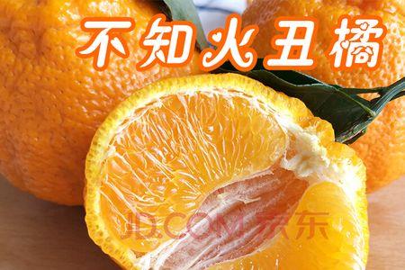 耙耙柑果零下几度会冻坏