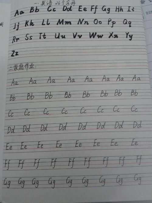 英语占上中下格的字母