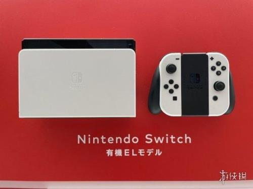 switch开不了机亮紫灯