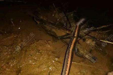 秋冬夜钓桥筏是钓浅还是钓深