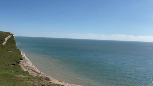 抖海是什么意思