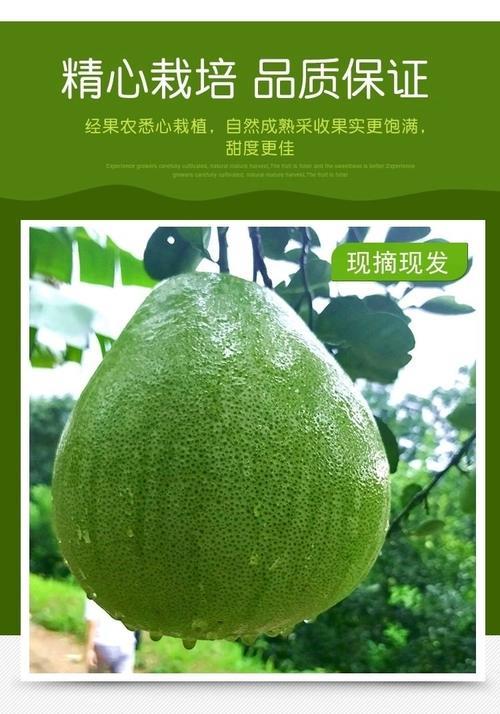 傣柚哪个品种好吃