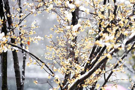 淋的世界充满诗意啥意思