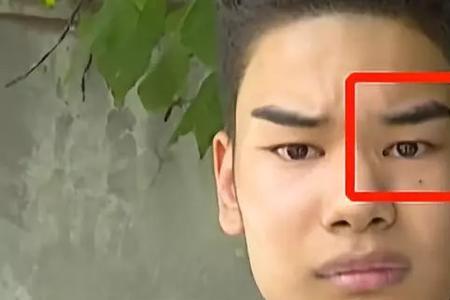 眉头开了什么意思