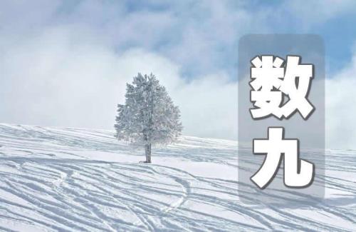 今年的数九从哪天开始