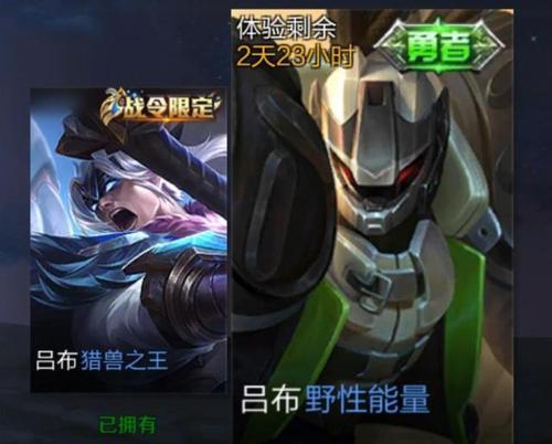 吕布的能量条应该怎样用