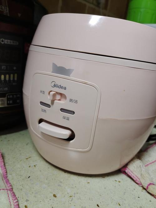 电饭煲蒸饭砰砰想什么原因
