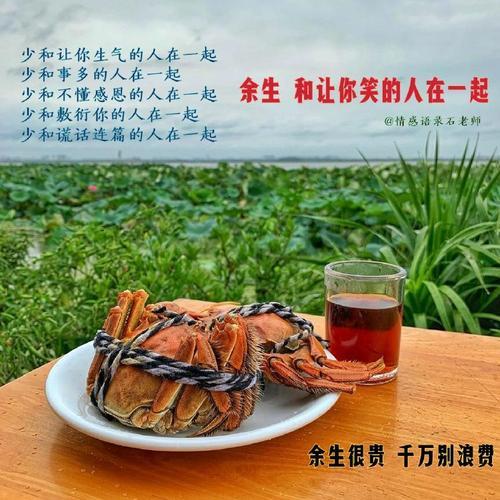 余生自己走什么意思