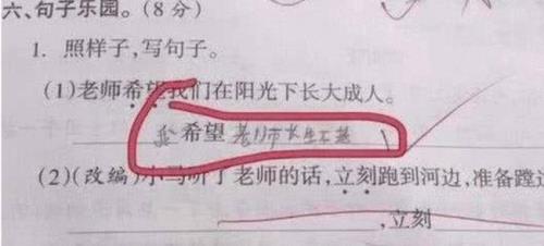用除了都是好像造句