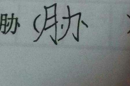 瞧可以怎么组词