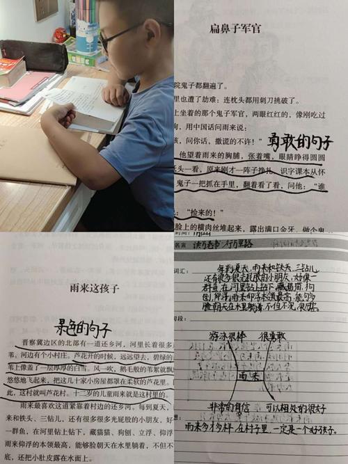 小红多才多艺补充句子50字