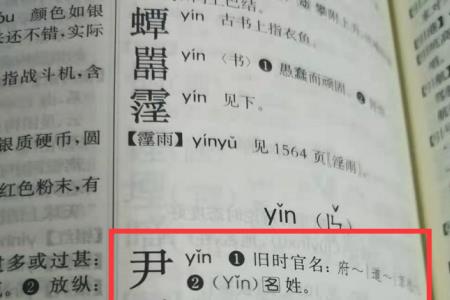 带伊字的词寓意好的