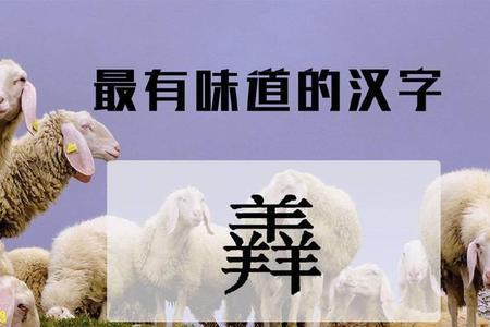 含羊字的东西或动物有那些