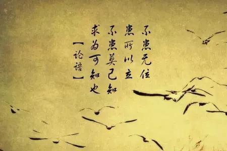 苗则槁矣的原因是什么