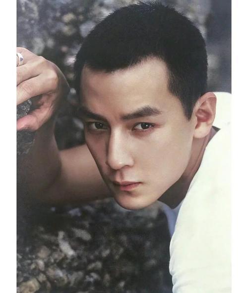 吴彦祖是混血吗