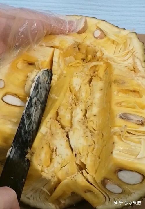 菠萝蜜的粘液如何去除