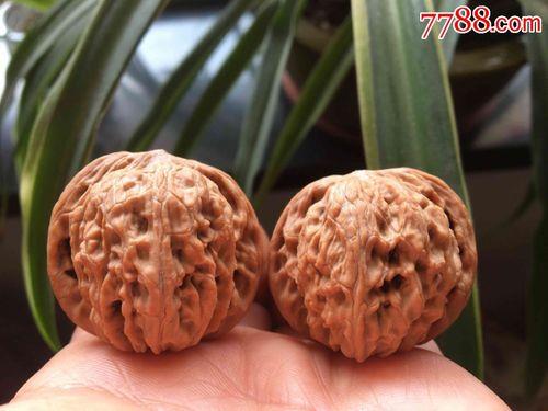 磨盘核桃38尺寸小吗