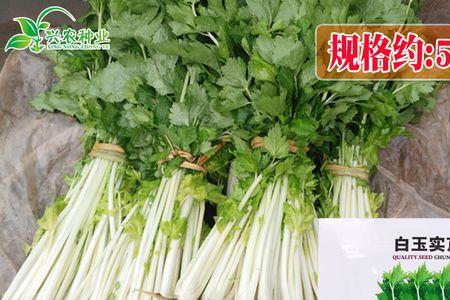芹菜籽的味道