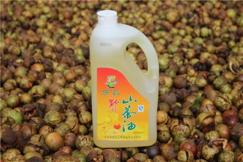 山茶油和菜籽油的区别