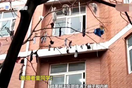 男生被女生绑在树上怎么逃生