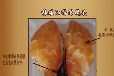 雪蛤壳的用途