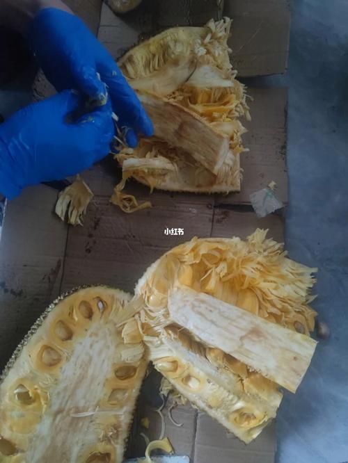 菠萝蜜放胶最快的方法