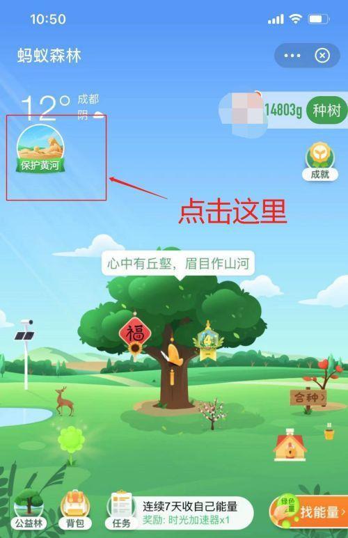 蚂蚁森林买保护地会解锁地区吗